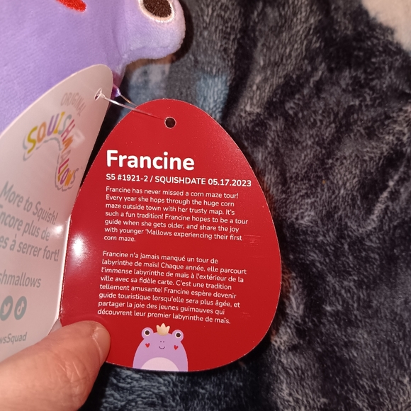 Squishmallow Francine the Frog Heart Cheeks Valentines Day Bundle - Picture 2 of 3